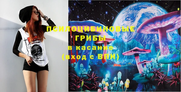 apvp Абаза