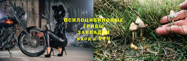 МДПВ Абинск